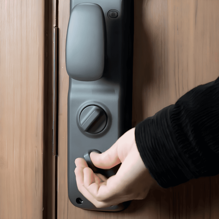 Serrure intelligente S10 Gris