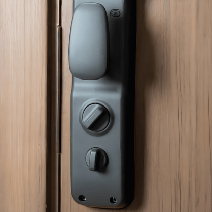 Serrure intelligente S10 Gris